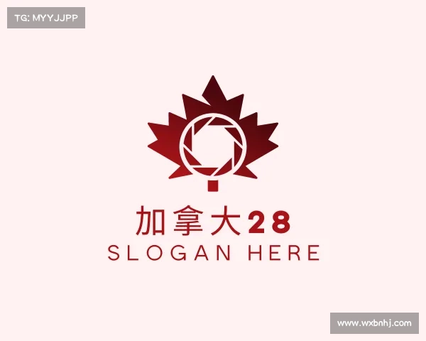 解读加拿大28